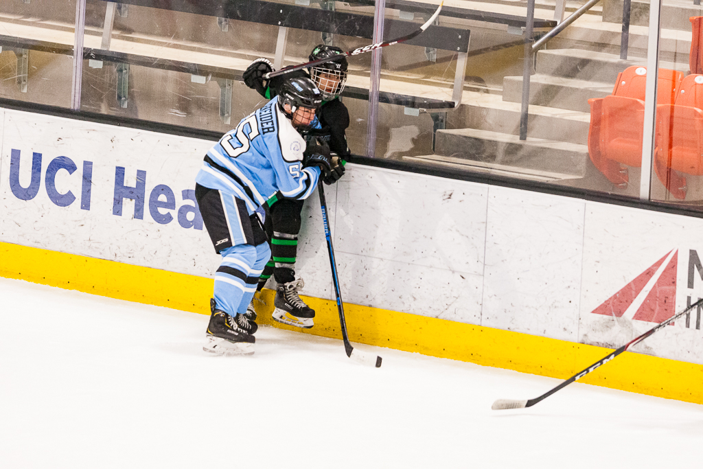 ADHSHL D1 Championship Game