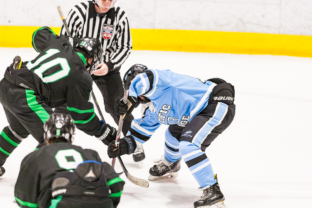 ADHSHL D1 Championship Game