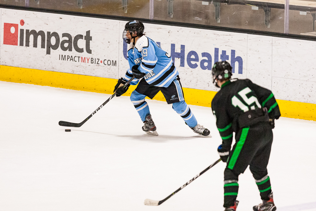 ADHSHL D1 Championship Game