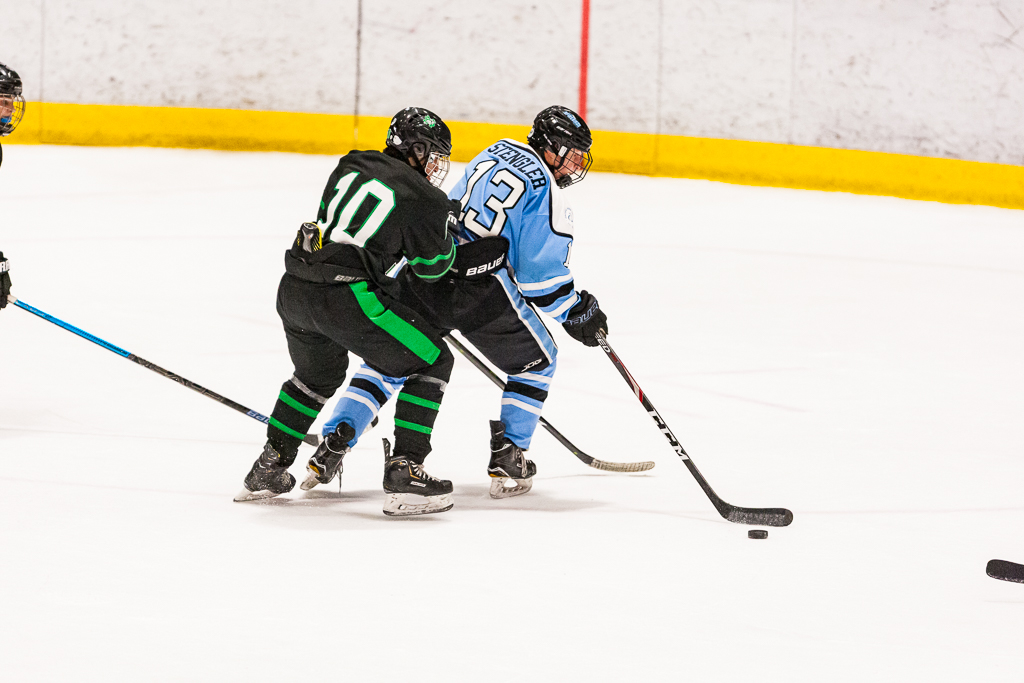 ADHSHL D1 Championship Game