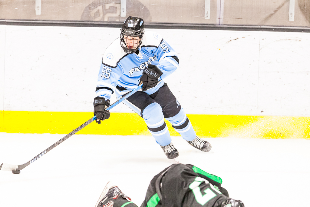 ADHSHL D1 Championship Game