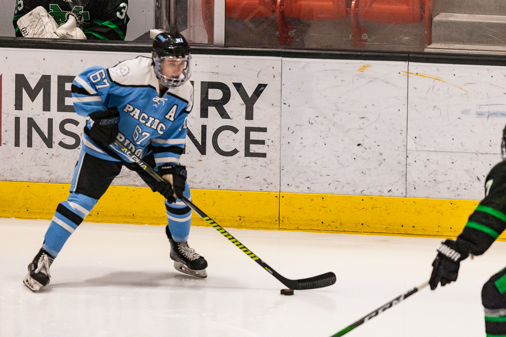 ADHSHL D1 Championship Game