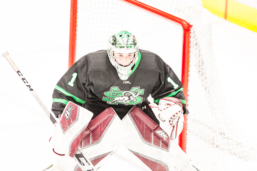 ADHSHL D1 Championship Game