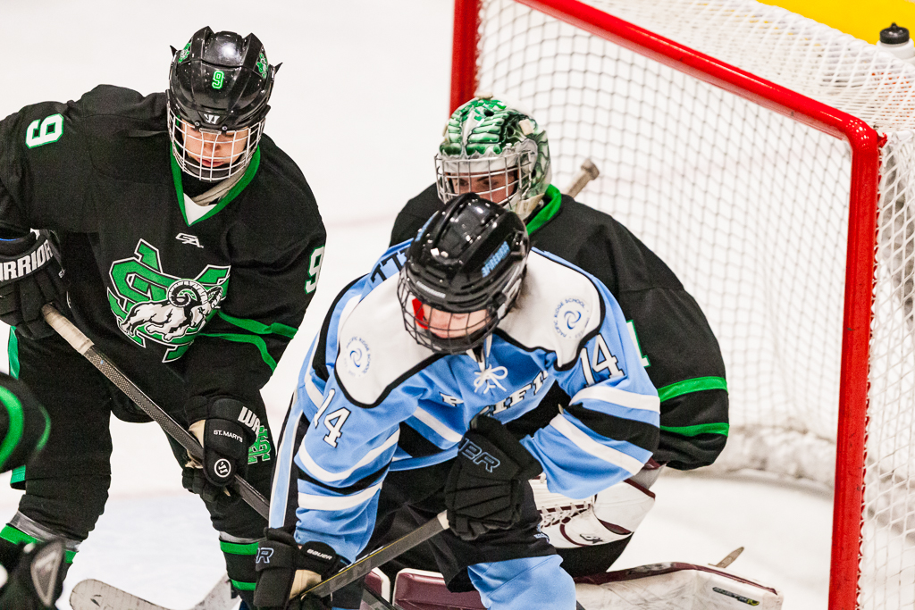 ADHSHL D1 Championship Game