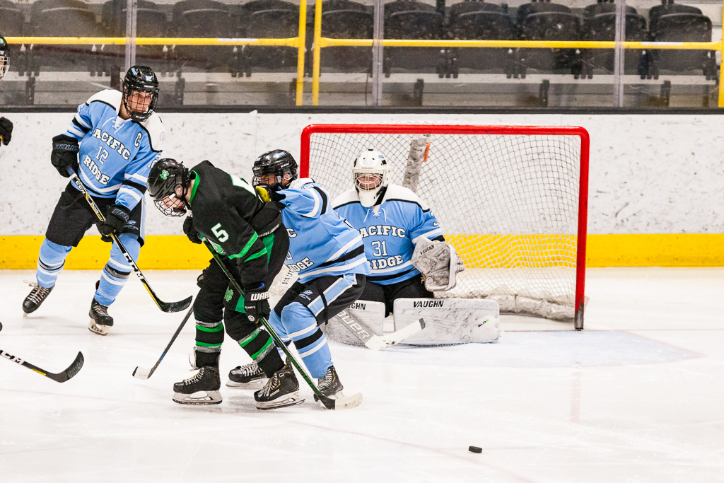 ADHSHL D1 Championship Game