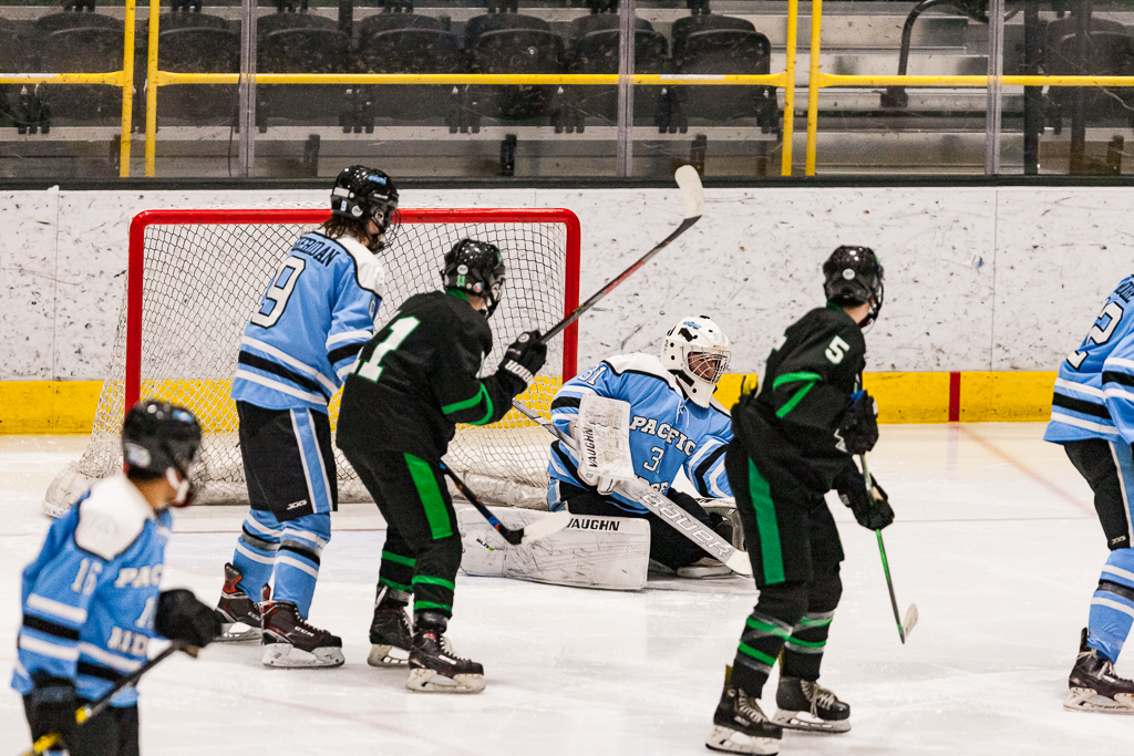 ADHSHL D1 Championship Game