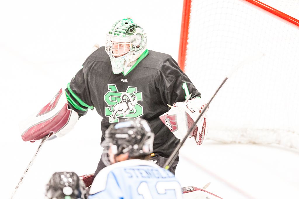 ADHSHL D1 Championship Game