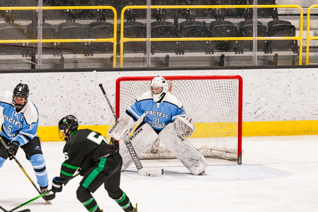 ADHSHL D1 Championship Game