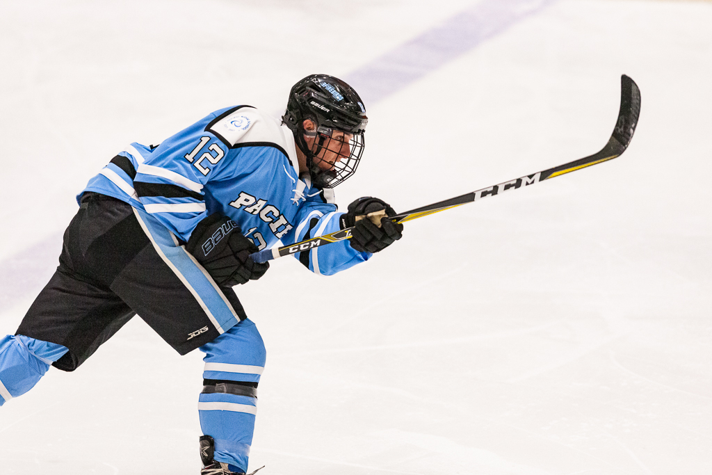 ADHSHL D1 Championship Game