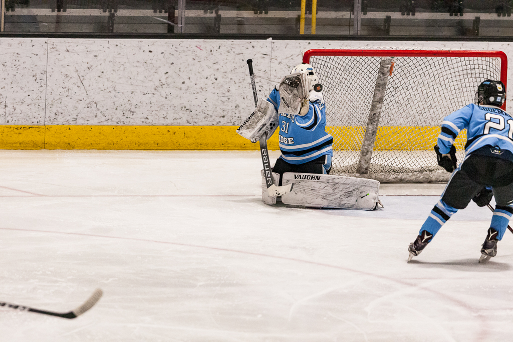 ADHSHL D1 Championship Game