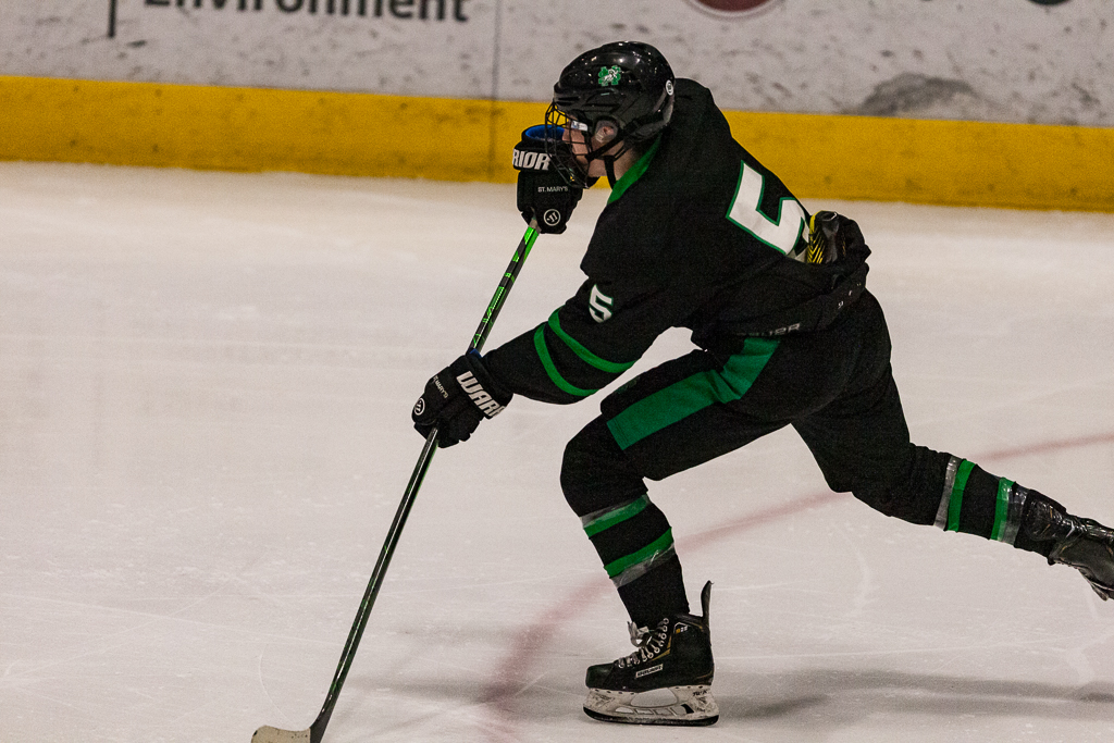 ADHSHL D1 Championship Game