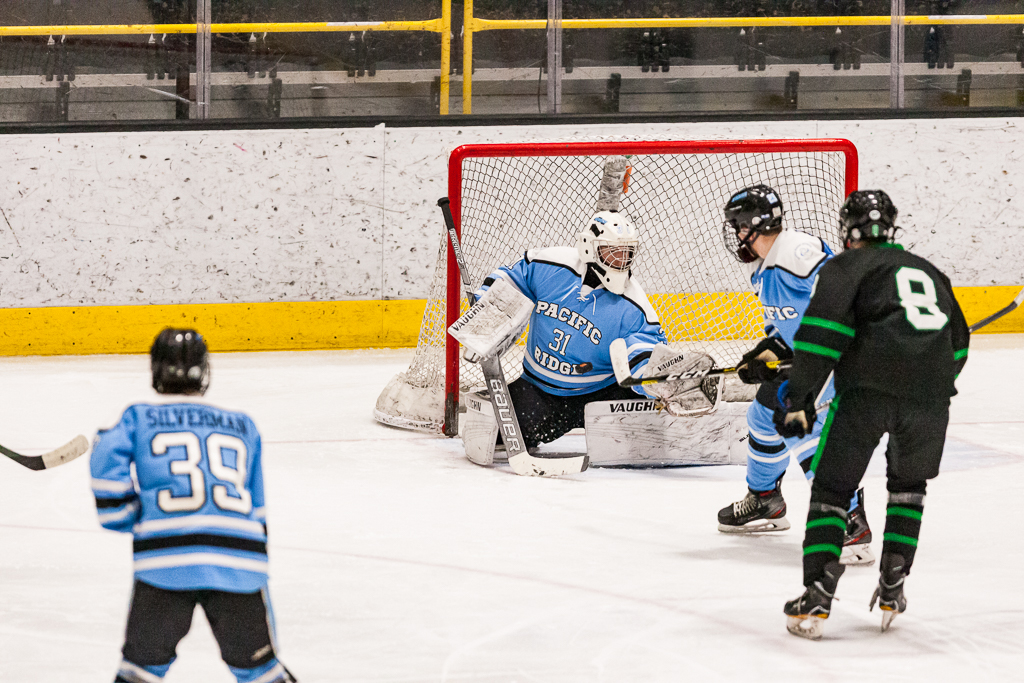 ADHSHL D1 Championship Game