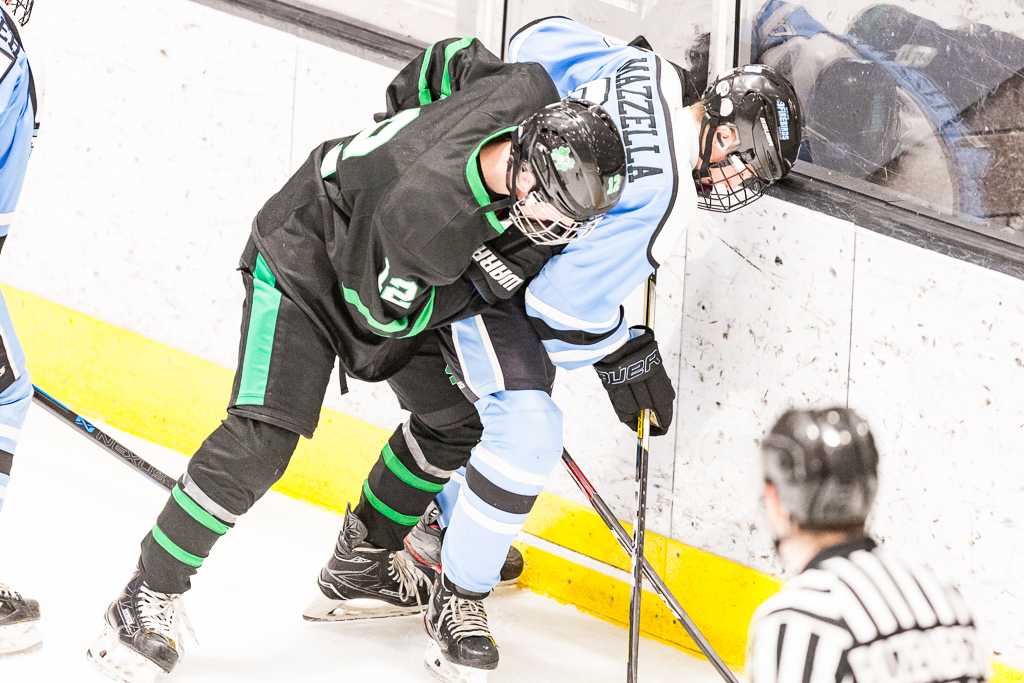 ADHSHL D1 Championship Game