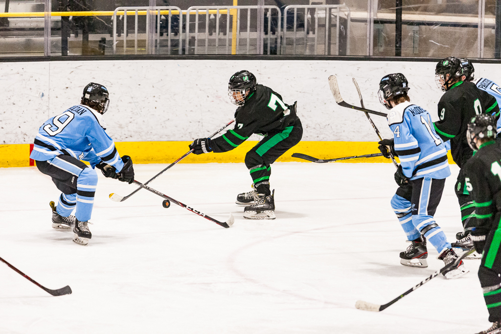 ADHSHL D1 Championship Game