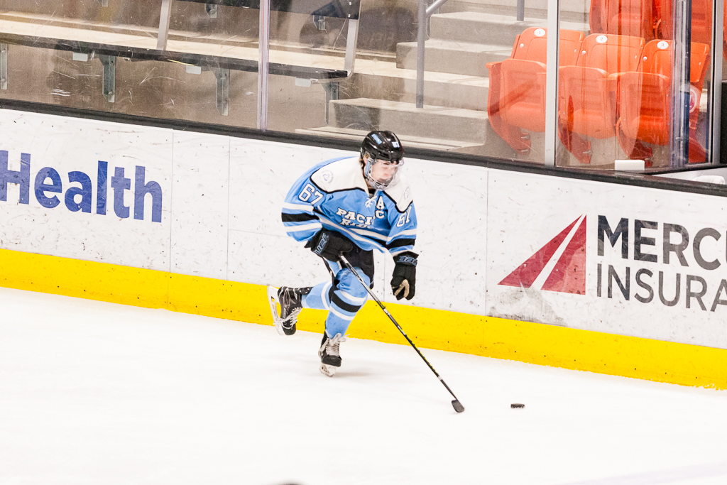 ADHSHL D1 Championship Game