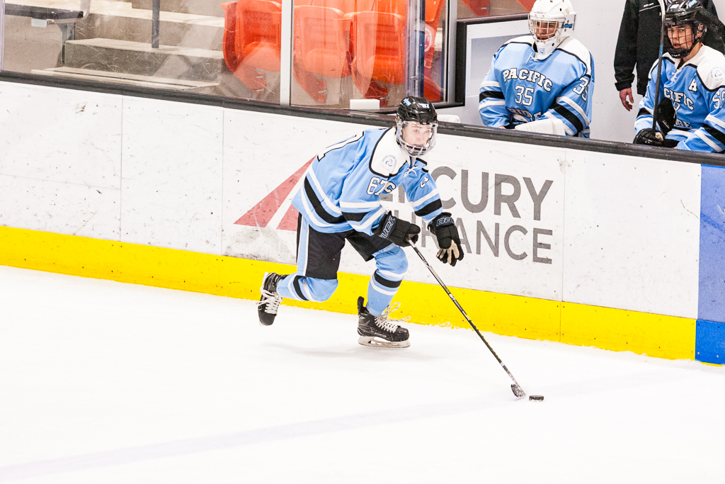 ADHSHL D1 Championship Game