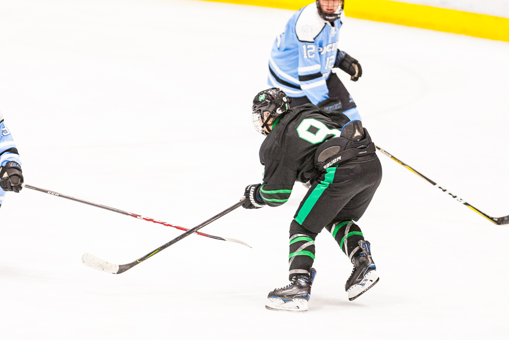 ADHSHL D1 Championship Game