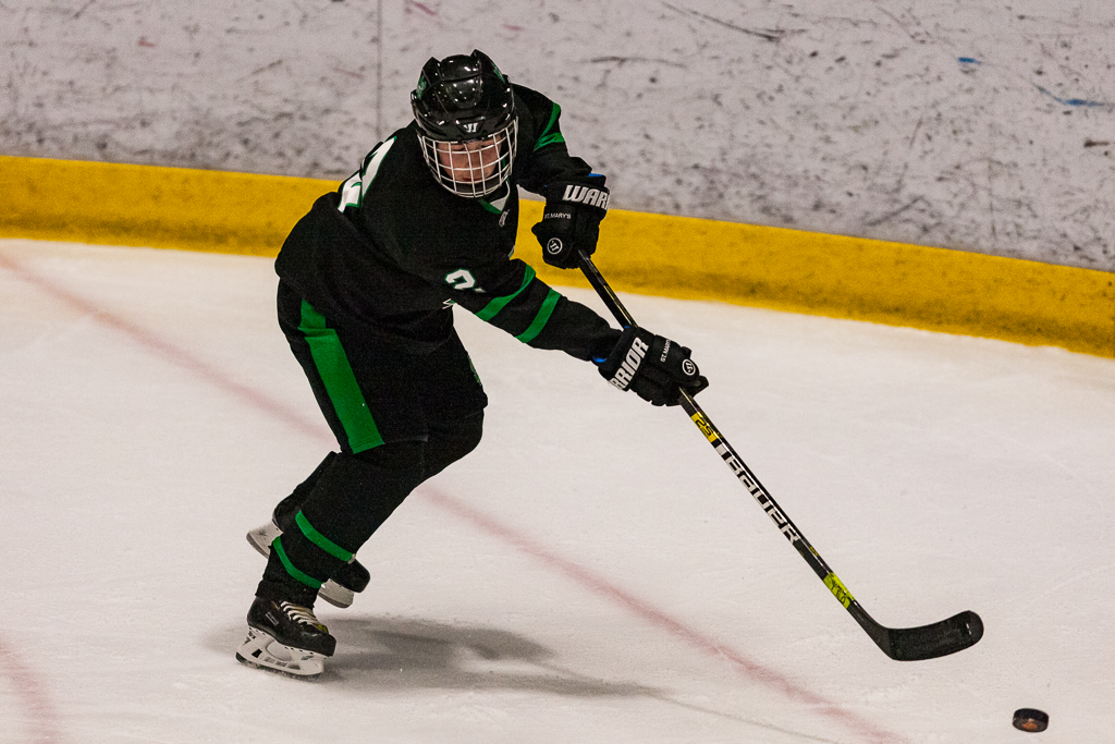 ADHSHL D1 Championship Game