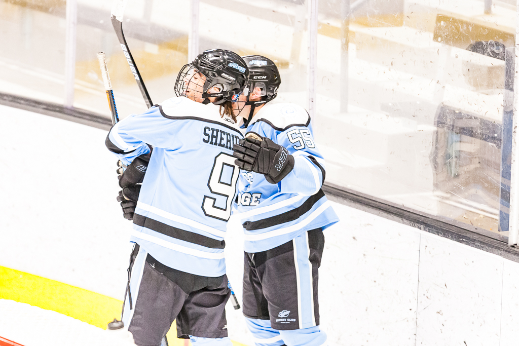 ADHSHL D1 Championship Game