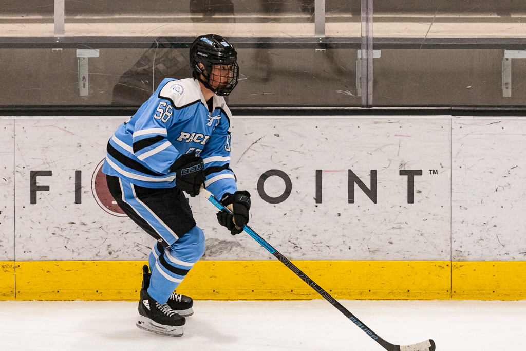 ADHSHL D1 Championship Game