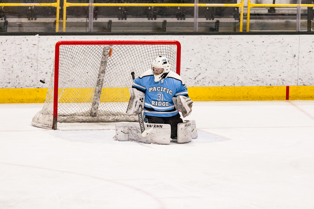 ADHSHL D1 Championship Game