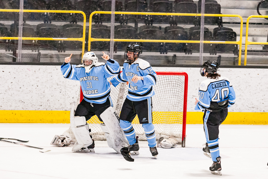 ADHSHL D1 Championship Game