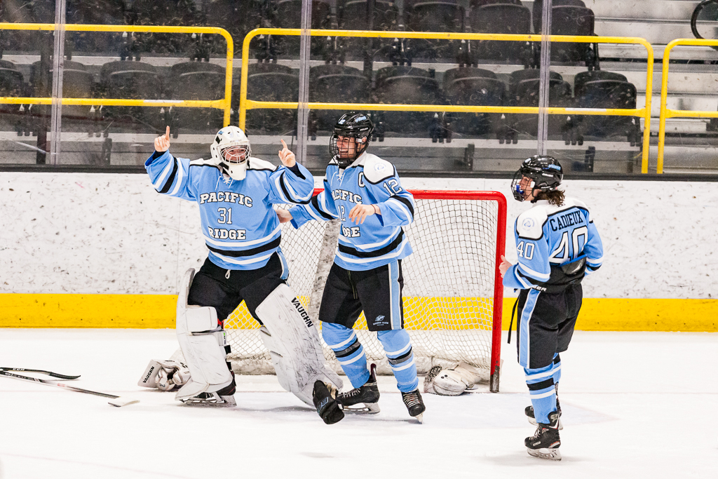 ADHSHL D1 Championship Game