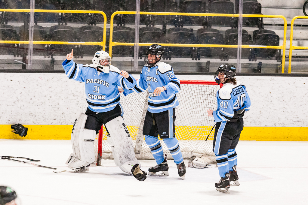 ADHSHL D1 Championship Game