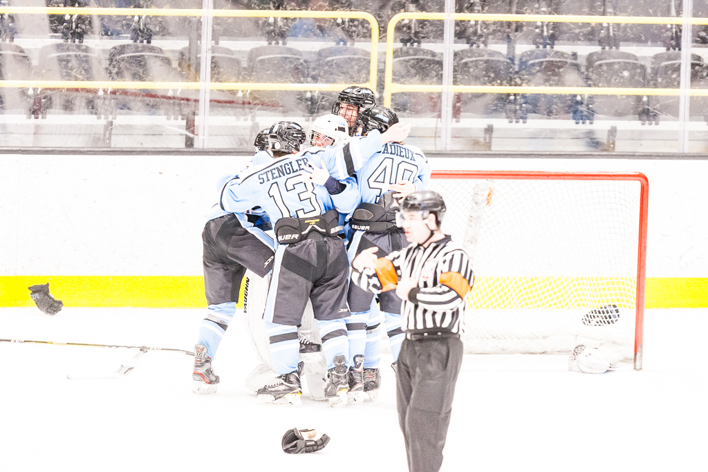 ADHSHL D1 Championship Game